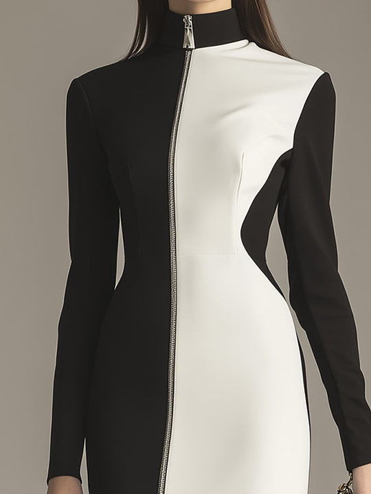 Sleek Two-Tone Long Sleeve Dress with Zip Detail